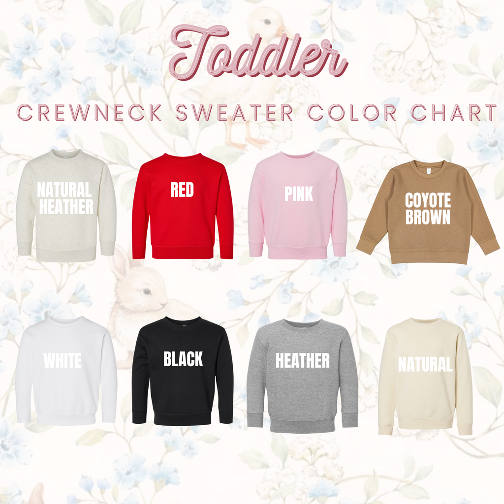 COQUETTE CARS (LONG SLEEVE SHIRT + CREWNECK SWEATER)