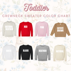 COQUETTE CARS (LONG SLEEVE SHIRT + CREWNECK SWEATER)